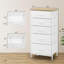 Rikeisha 5 Drawer-440658835