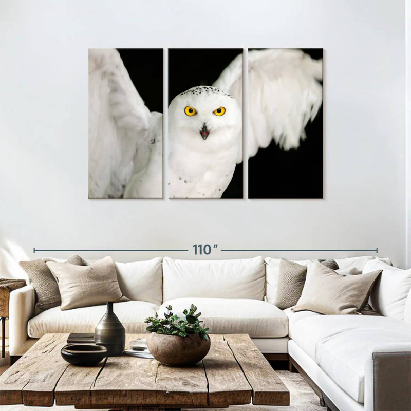 White Owl, 48" H x 74" W