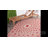 Arneshia Geometric Red/Beige Indoor / Outdoor Area Indoor/Outdoor Area Rug-22984082