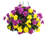 Arrangement