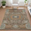 Tapis traditionnel lavable à la machine intérieur / extérieur ACN2525-517791318-517791326
