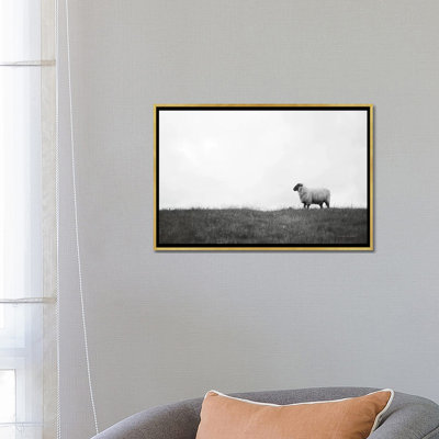 Photographie « islay ovin ii »