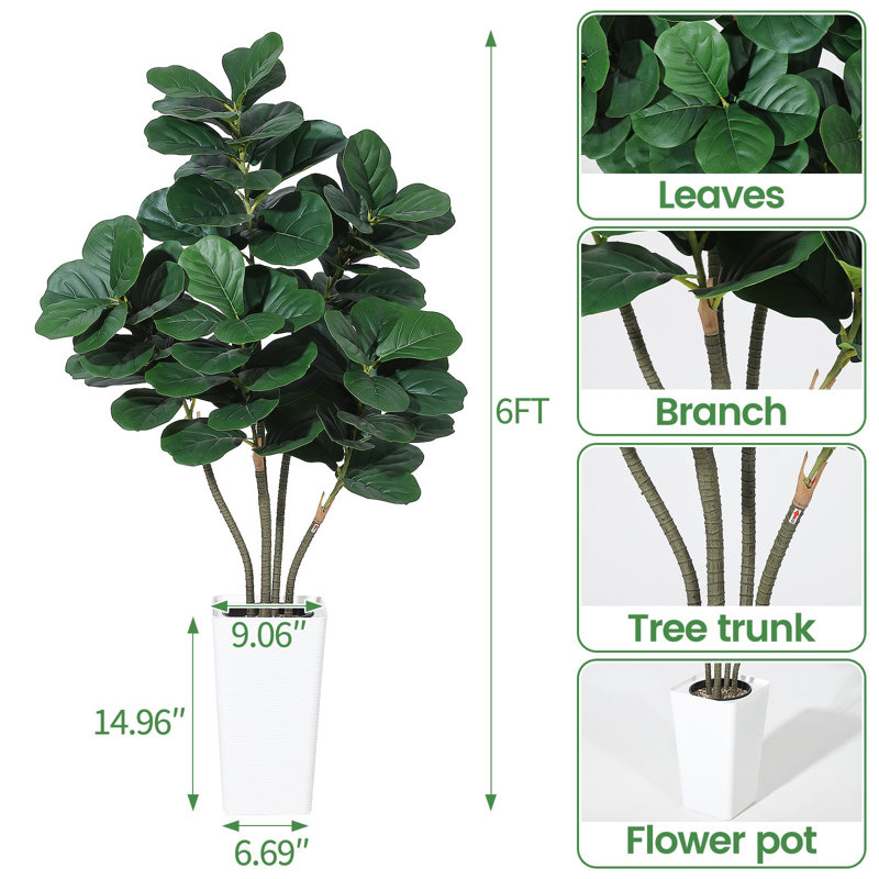 Plant, 183 cm