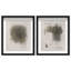 Modernist Sketch Set Shadowbox Abstract Print by Oliver Gal, Black Frame, 16 x 20-826208582-826208604