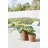 Ecopots Indoor/Outdoor Modern Round Recycled Plastic Planter Flower Pot-295213189-287941827-314918778