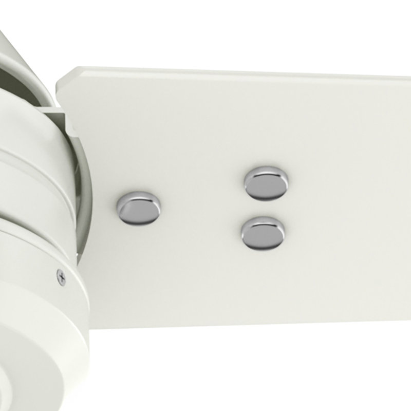 Hunter 60 inch Cassius ENERGY STAR® Damp Rated Ceiling Fan wtih Wall Control, Light Stripe/Fresh White, Fresh White