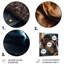 Décoration murale Havish Dachshund-87837314