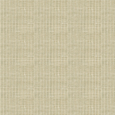 Cambric Sheer Fabric