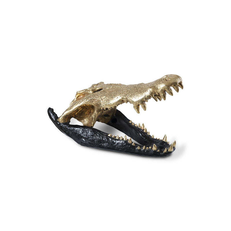 Dimensional Crocodile Skull, Gold, Black