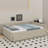 Upholstered Platform Bed With USB And Trundle-435375226