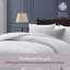  ensemble d'édredon 3 pièces en microfibre douce avec taies décoratives-124429643-124637941