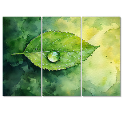 Green Water Droplet On Leaf II - Leaves Wall Art - Set Of 3
