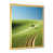 Gold Single Picture Framed