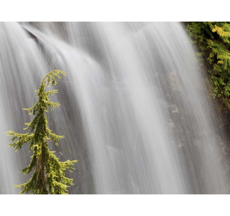 «Loon Peak® Paulson», art sur toile tendue par Don Gallery: WA, Stehekin Waterfall on the Agnes Gorge Trail