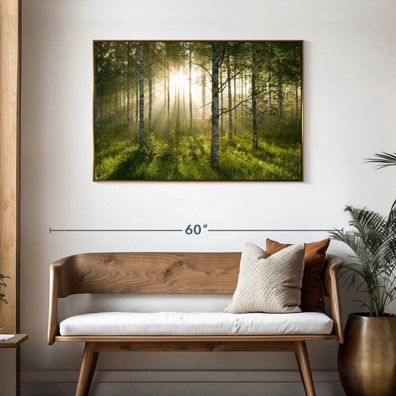 Birch Forest Sunlight, Cadre flottant doré, 43 po x 29 po