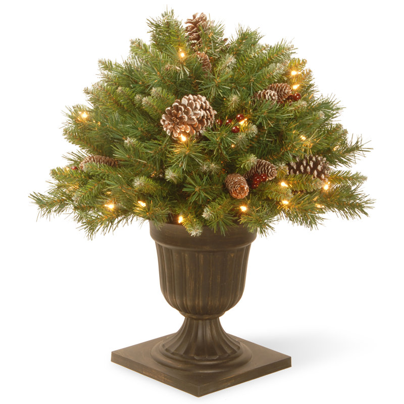 Buisson de baies givrées avec lumières claires, H 24 po x l 29 po x P 29 po