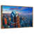 Floating Frame Gold
