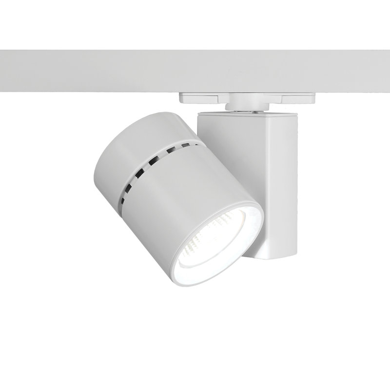 Exterminator II Track Head, White, 2700K/90, Flood
