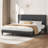 Upholstered Panel Bed-2075530800-2055948975