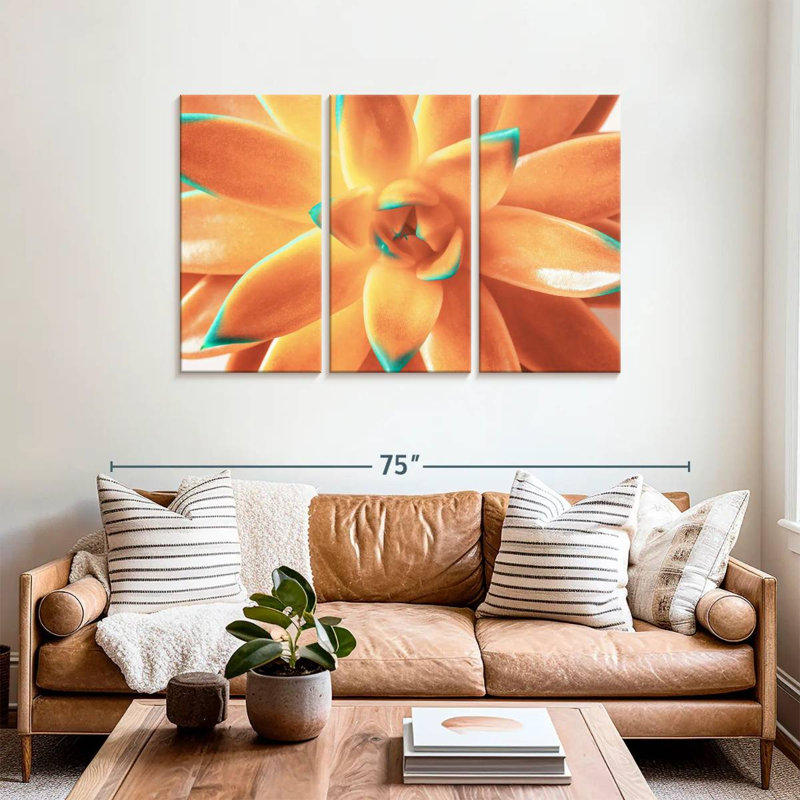 Plante grasse orange Harnek, H 36 po x l 57 po