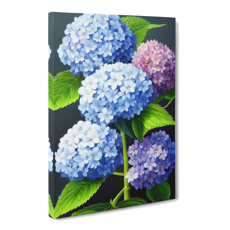 Demarest Hydrangea Flower Vol.1 - Wrapped Canvas, 50cm H x 35cm W x 3cm D