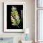 Frond - reproduction de cadre photo sur papier-424094223-424094208