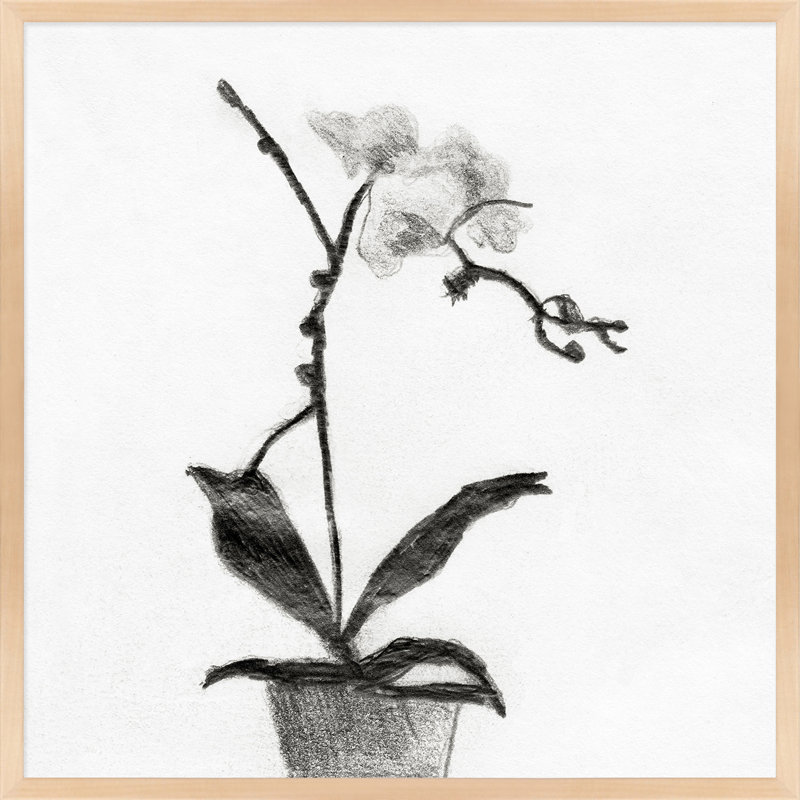 Orchid Study 1 Print by Simon Schneiderman, 16" H x 16" W x 1.25" D, Maple Wood