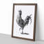 A Cock in Black and White by Johan Teyler - Framed Print-55457858-55457864