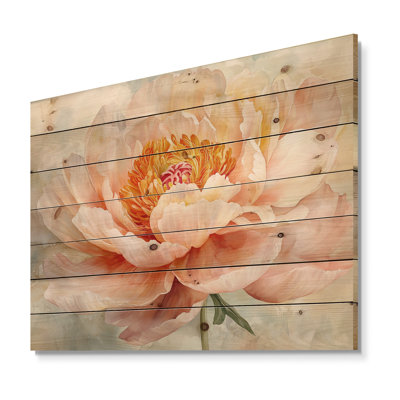 Water Lily Peony Simplicity Bloom II - Peonies Wood Print - On Natural Pine Wood