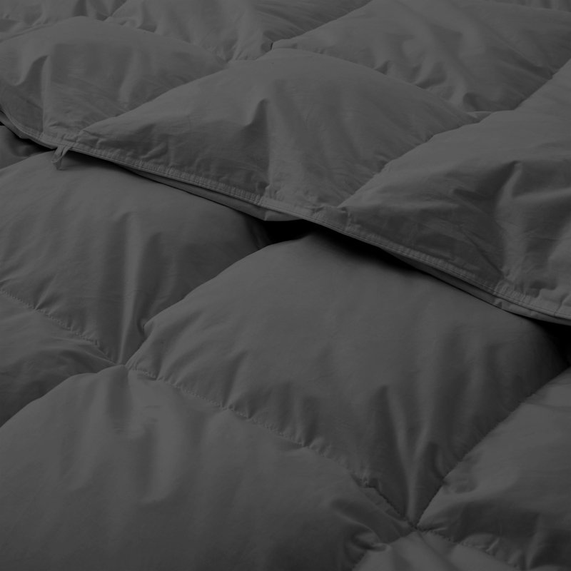 All Season Goose Feather Fiber Comforter, Queen, Cream