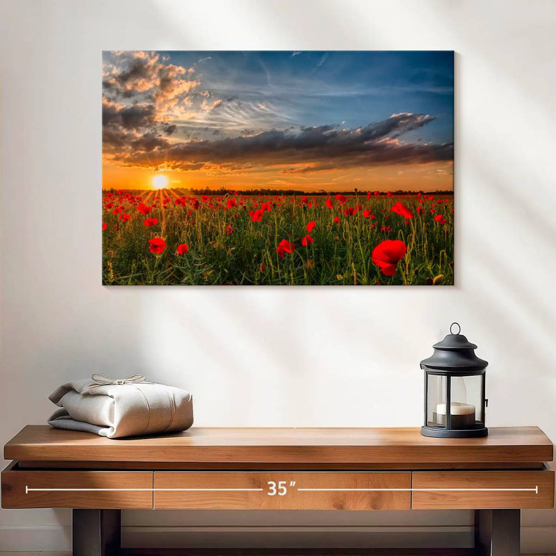 Champ de fleurs de coquelicots Alvord, H 16 po x l 24 po