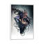 Corvus Arcanum-975324579-975324500-975324588