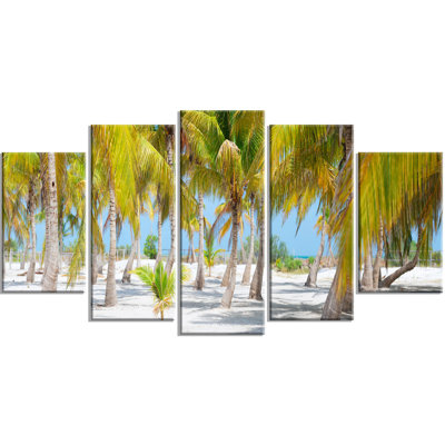 « palm trees », reproduction de photo