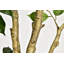 Ficus artificiel en pot décoratif blanc-1084028230