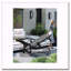 Chaise longue de patio en PEHD avec inclinaison à 5 positions, porte-gobelet intégré et capacité de 400 lb-206624317