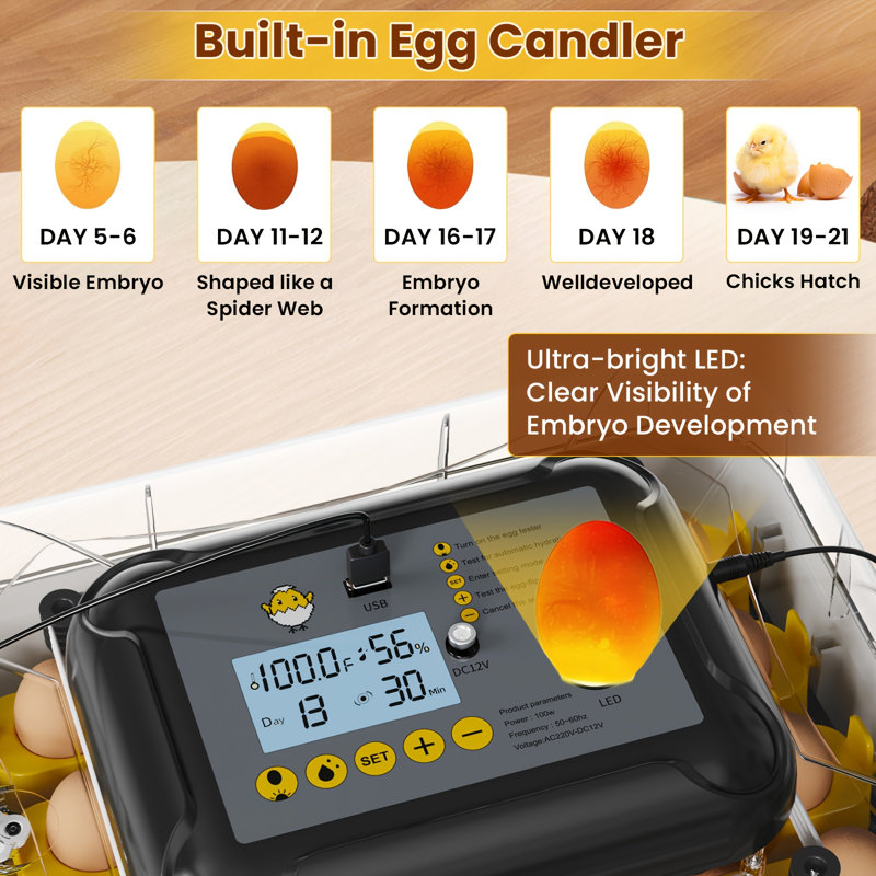 [Incubateur à œufs de grande capacité] Incubateurs à couver, 30 œufs de poule avec retournement automatique des œufs, double alimentation, candélabre, contrôle de la température et de l'humidité avec fonction d'alerte, remplissage automatique de l'eau