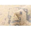 Broer One-of-a-Kind 2'7" X 7'10" New Age Runner Wool Area Rug in Light Khaki