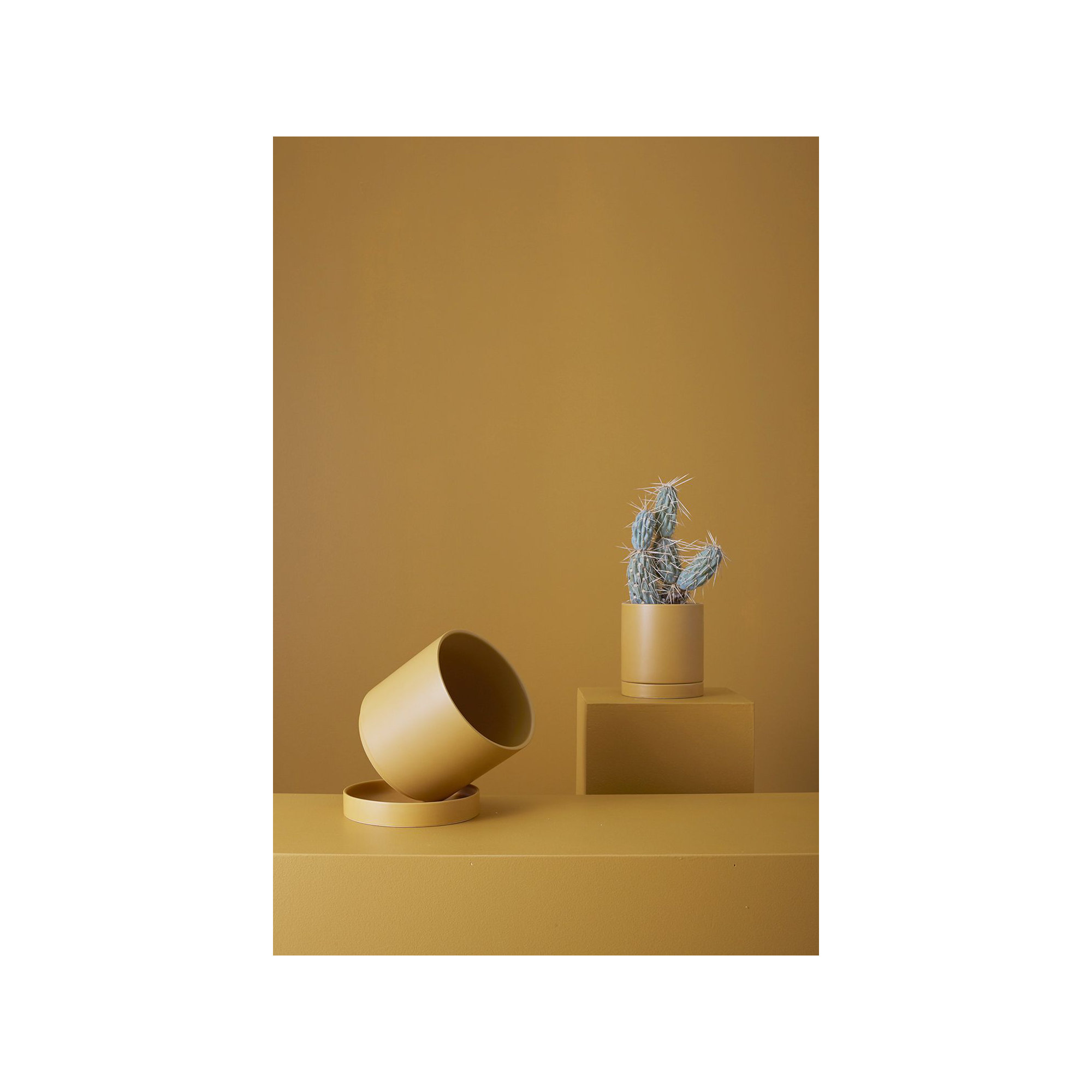 Carlotta Ceramic Pot Planter, 5.75" H x 5" W x 5" D, Ochre