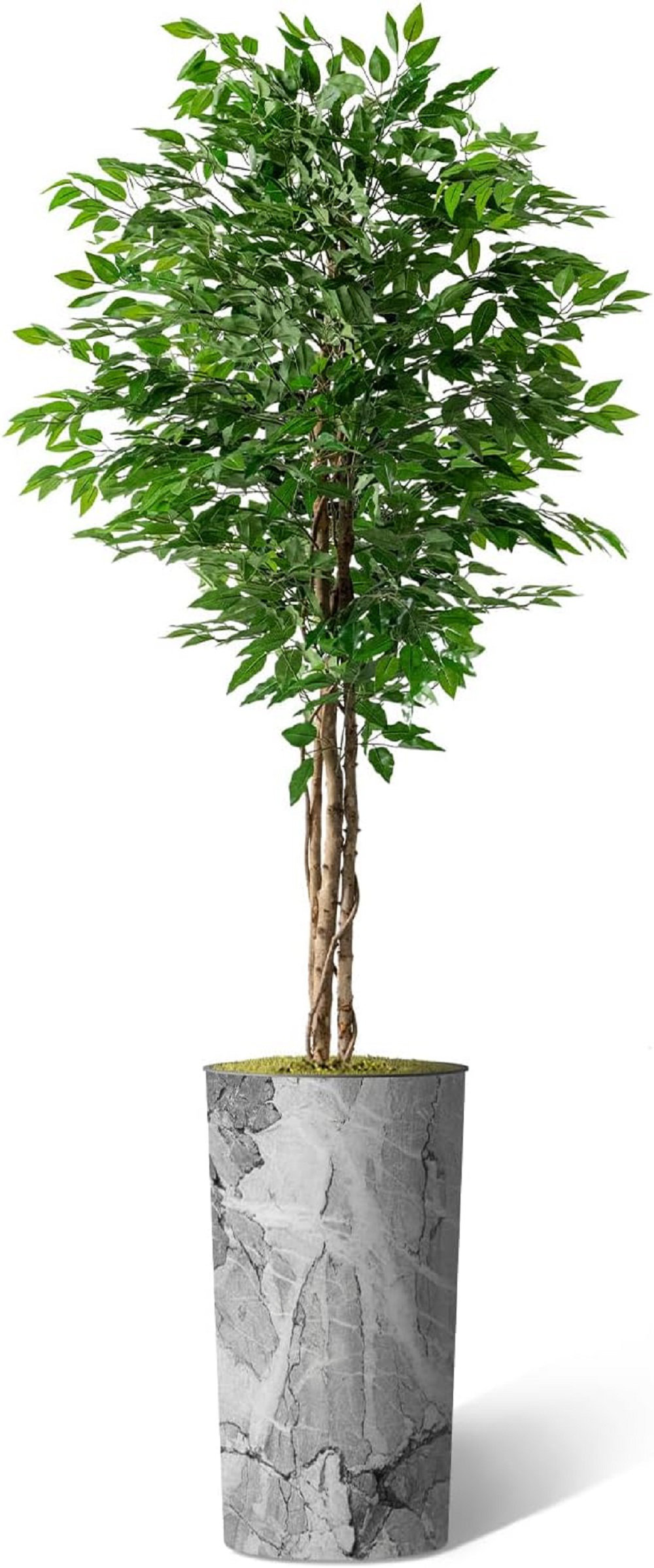 SIGNLEADER Tall Fake Plants Faux Ficus Tree in Neutral Pattern Planter