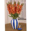 Ceramic Jar-66839249-66839246