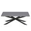 Aagna Oak Pedestal Coffee Table