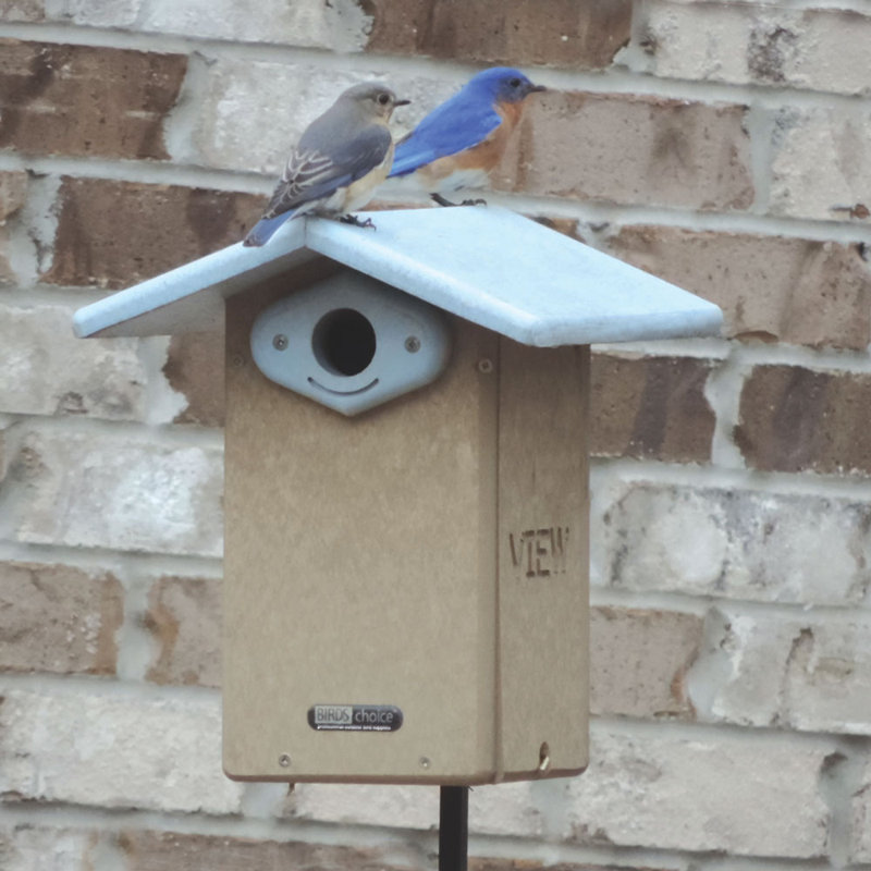 Maison d'oiseaux recyclée 13 po x 9 po x 11 po