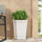 MGO PLANTER