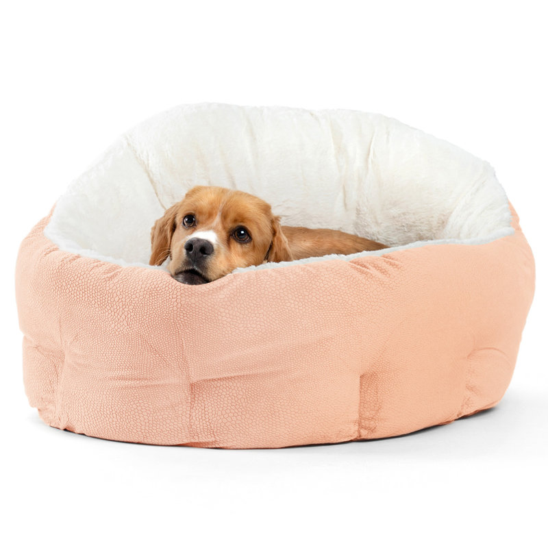 Lit pour chien Ilan Best Friends par Sheri OrthoComfort, Surdimensionné (l 24 po x P 24 po x H 13,5 po), Ros