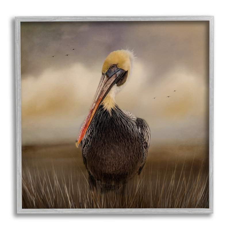 Pélican nuageux, ciel naturel, faune - photographie, H 24 po x l 24 po x P 1,5 po, Toile avec cadre gris