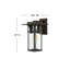 Kajale 1-Light Outdoor Wall Lantern-53602664