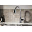 Ludington Pull-Down Single-Handle Kitchen Sink Faucet with Two-Function Sprayhead-45795833