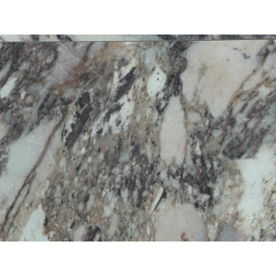 Violetta Polished
