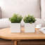 2 Piece White Ceramic Flower Planters Pots