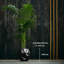 Handmade Planter-52455023